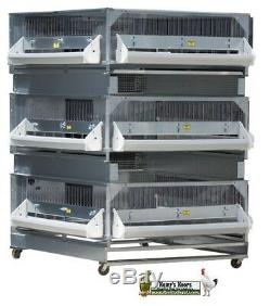 Brand New GQF 0703 Heated Poultry Box Brooder PLUS 2 Grow Pens baby chicks birds