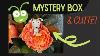 Cricut Bare Necessities Mystery Box A Cutie January 2022