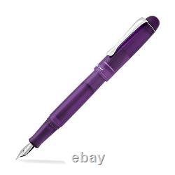 Opus 88 Picnic Fountain Pen in Purple Fine Point NEW in Original Box
