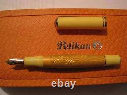 Pelikan Fountain Pen Sahara Special Edition 18K Gold Broad Pt New In Box