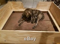 Whelping Box HEAVY DUTY withFLOOR, XL, Xlarge 5'x4' withRAILS+LINER Dog, Puppy, Pen