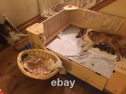 Whelping Box, Weaning Box, LARGE, Dog, Puppy Pen, BACKORDERED