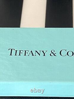 Stylo à bille clip en argent sterling 925 de Tiffany & Co. NEUF avec pochette et boîte